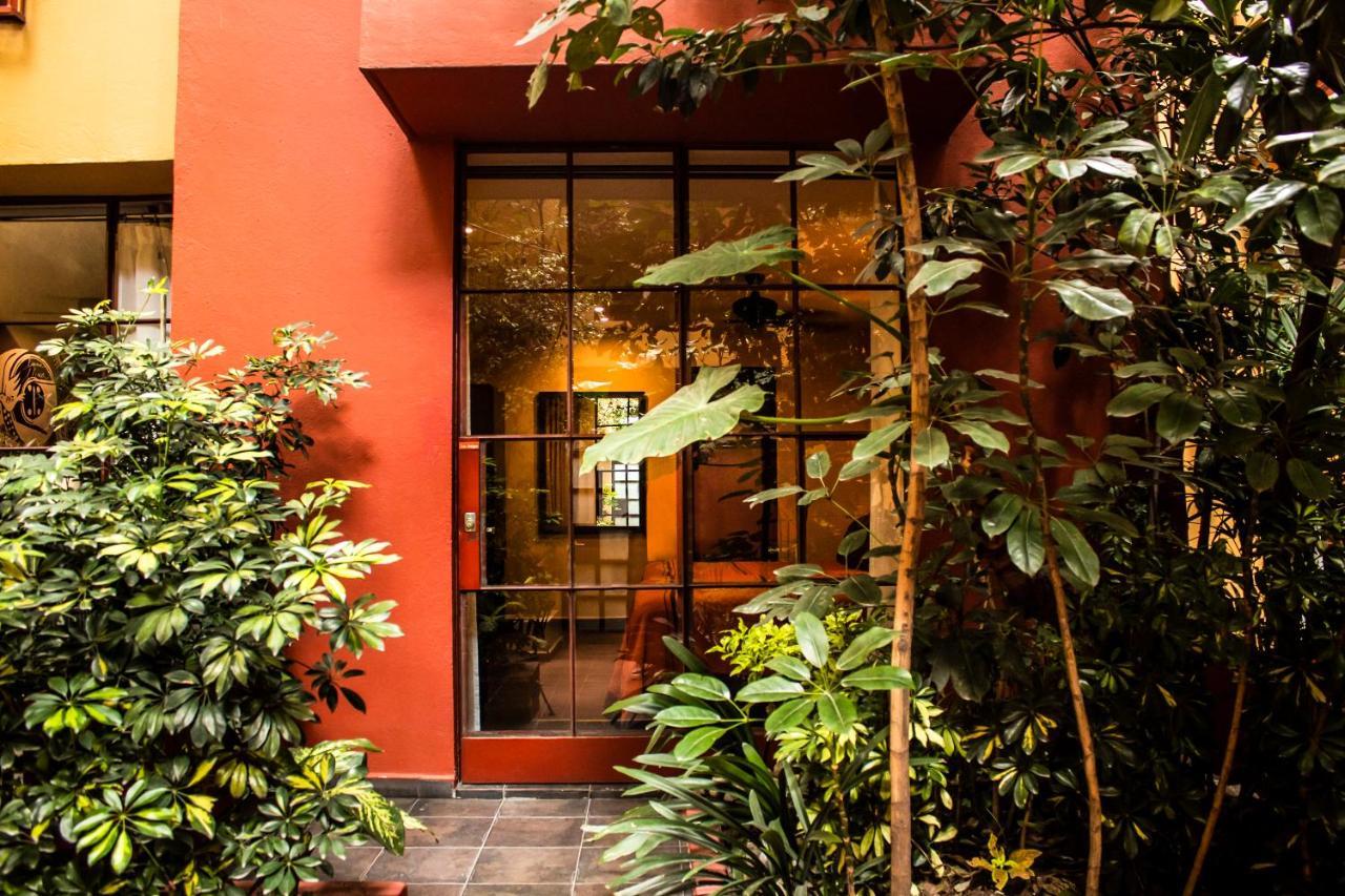 The Red Tree House — Photos 2