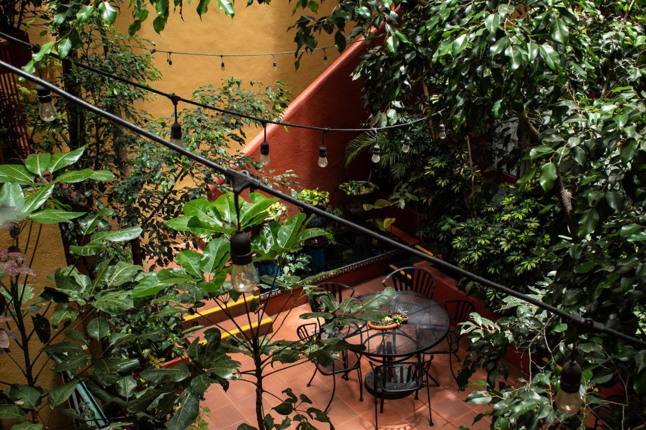 The Red Tree House, Mexico City